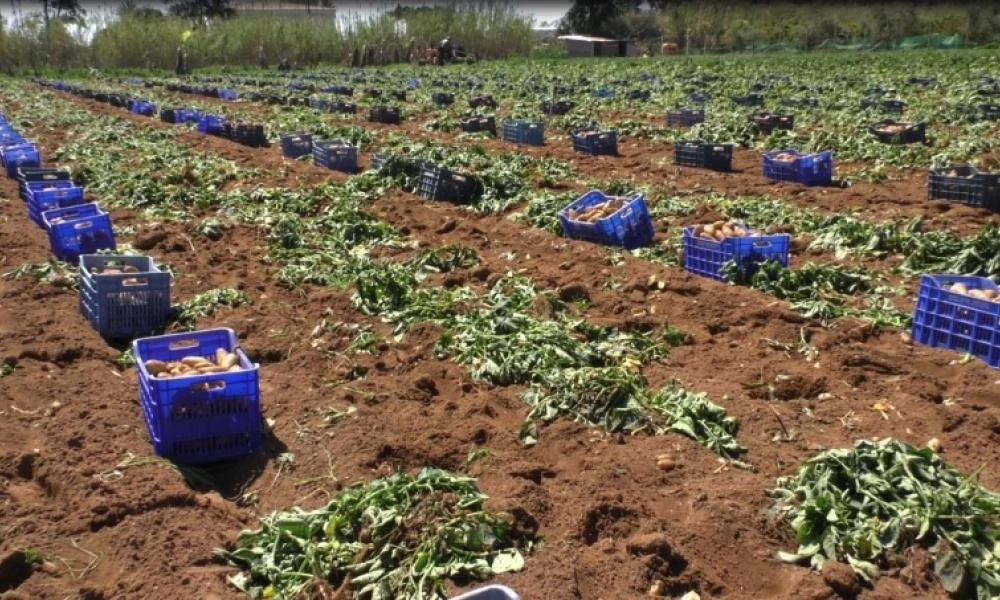 Κορονοϊός: Πρόβλημα στους αγρότες δημιουργεί η καραντίνα